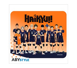 Haikyu Tappetino Mouse: Karasuno Team 24x20cm