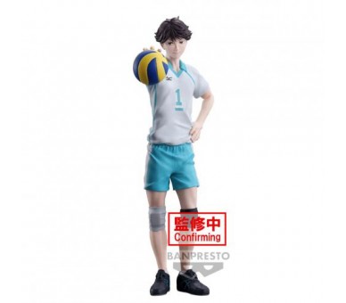 Haikyu Toru Oikawa 20cm