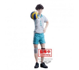 Haikyu Toru Oikawa 20cm