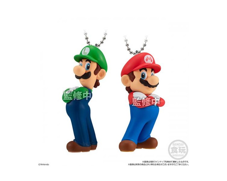 Shokugan (10pz) Portachiavi: Super Mario Bros Wonder 6cm