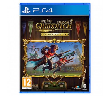 Harry Potter: Campioni di QUidditch - Deluxe Edition