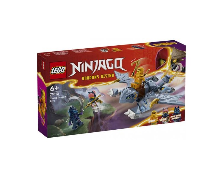 71810 Lego Ninjago Draghetto Riyu