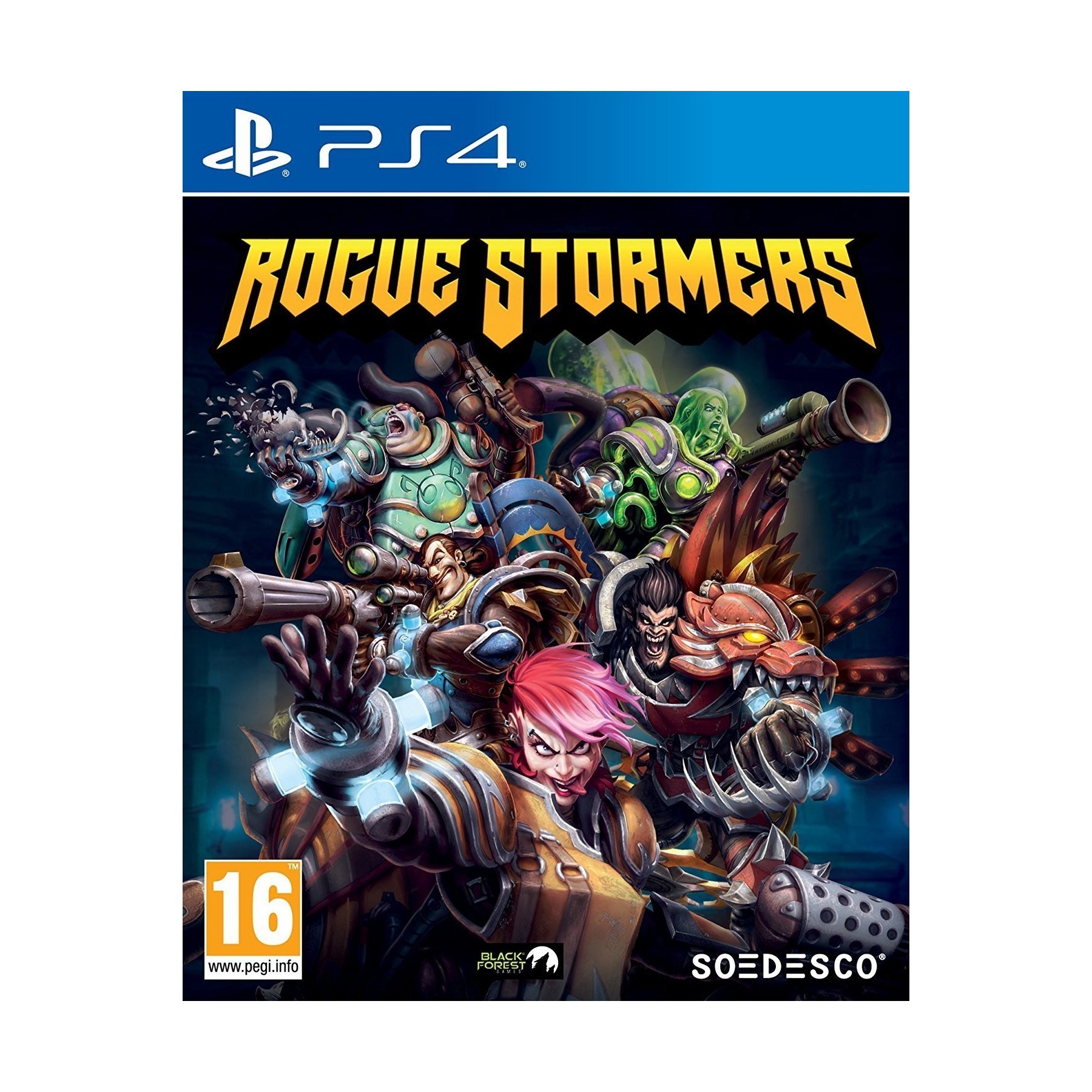 Rogue Stormers