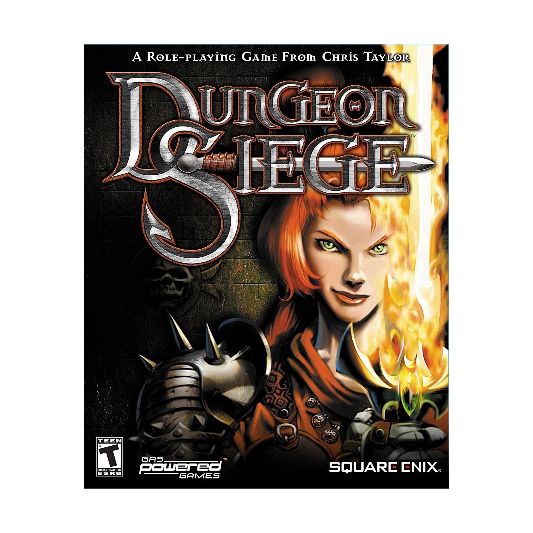 Dungeon  Siege Pc Version Reino Unido