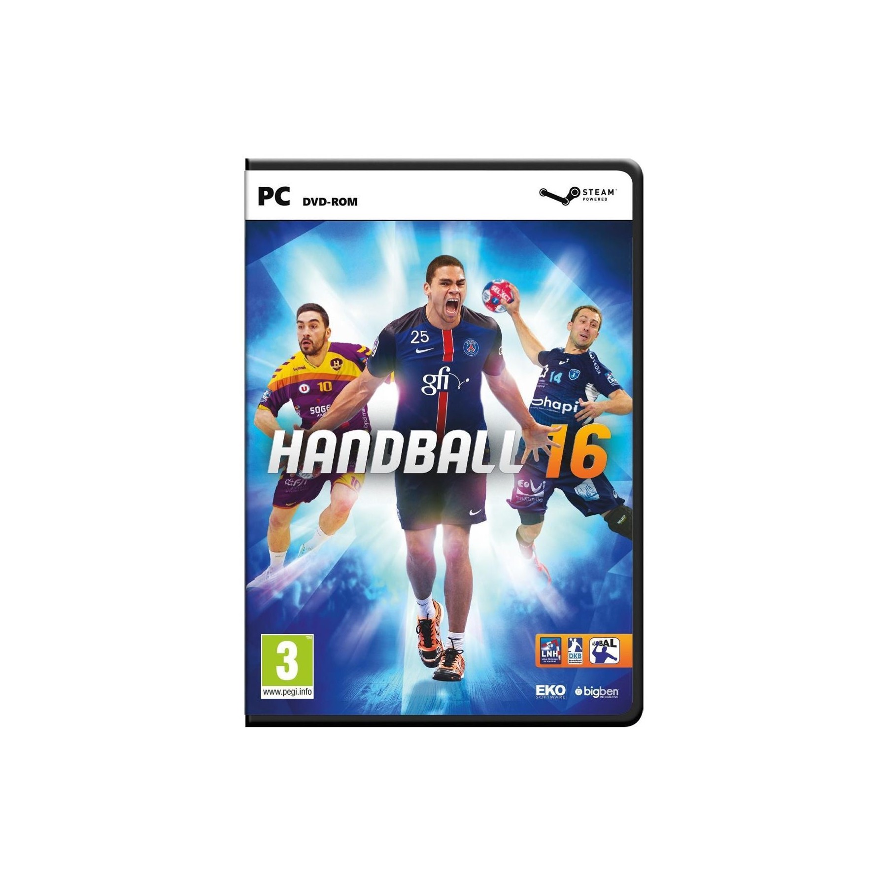 Handball 2016 Juego para PC Ordenador [PAL ESPAÑA]