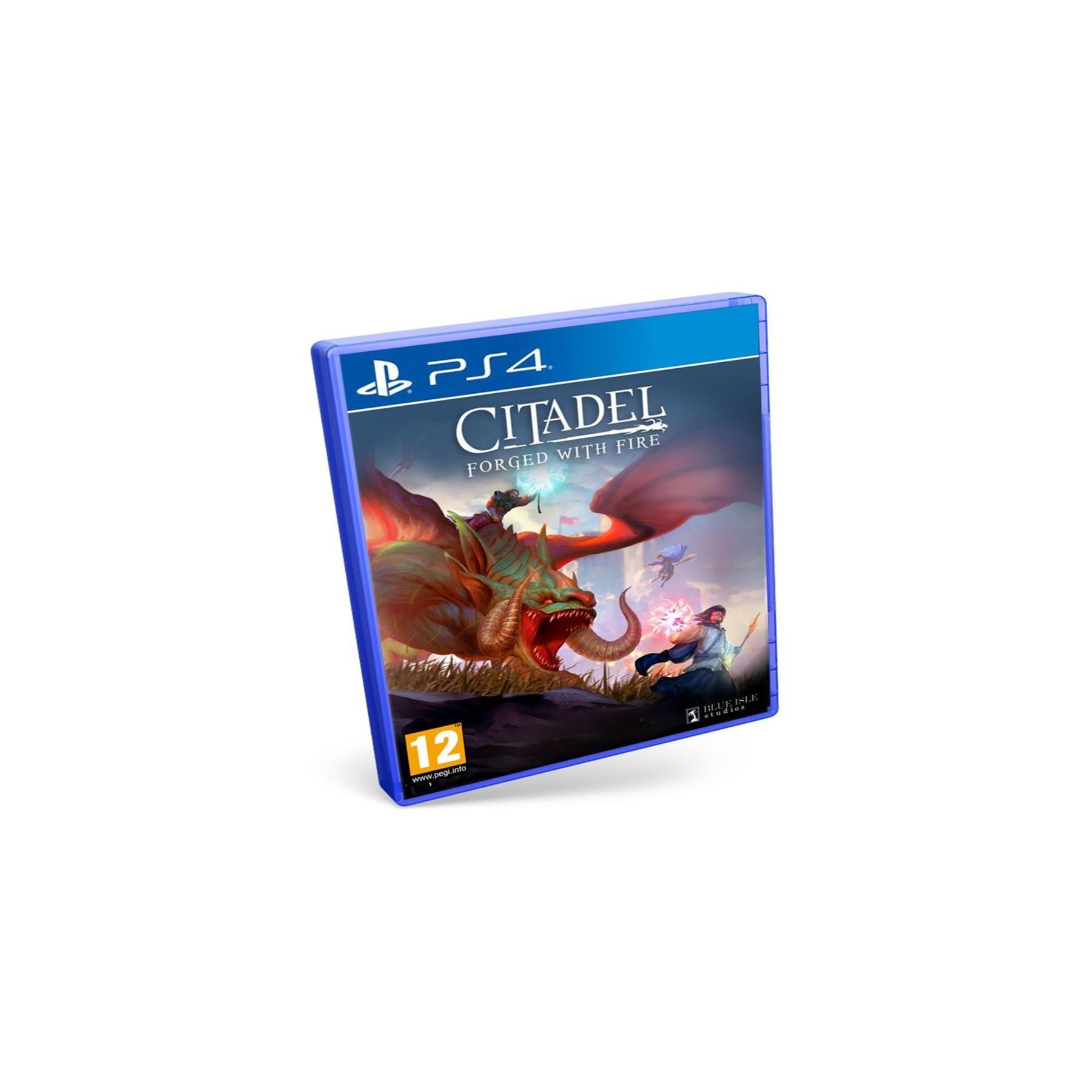 Citadel Forged With Fire Juego para Consola Sony PlayStation 4 [PAL ESPAÑA]