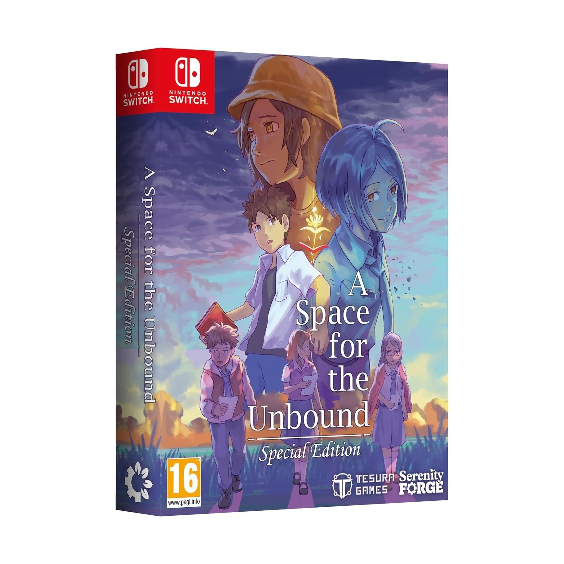 A Space For The Unbound Special Edition Switch