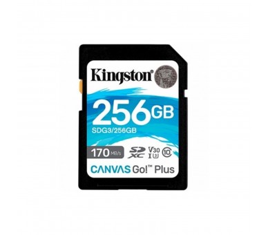 Mem Sdxc 256Gb Kingston Canvas Go Uhs-I Cl1