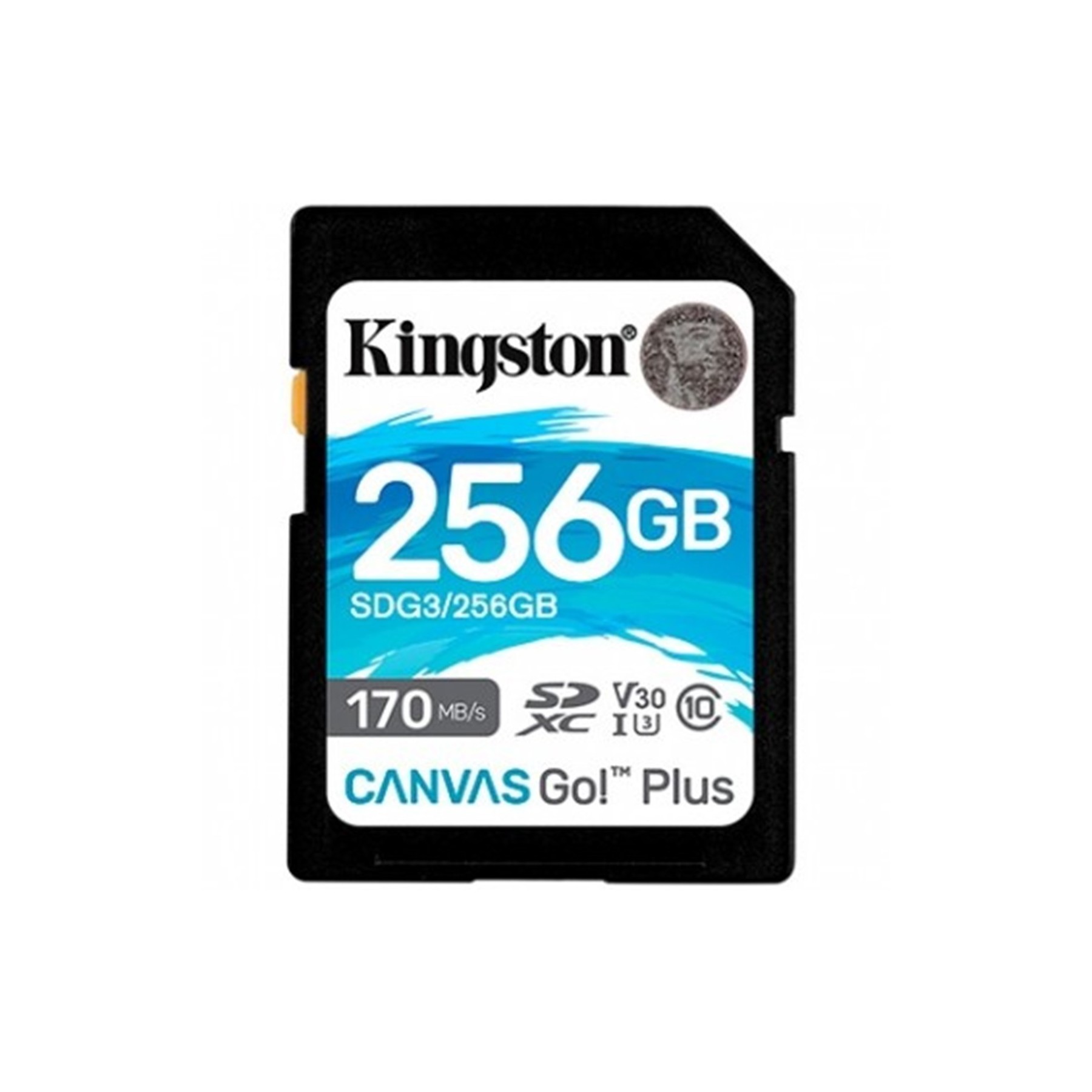 Mem Sdxc 256Gb Kingston Canvas Go Uhs-I Cl1