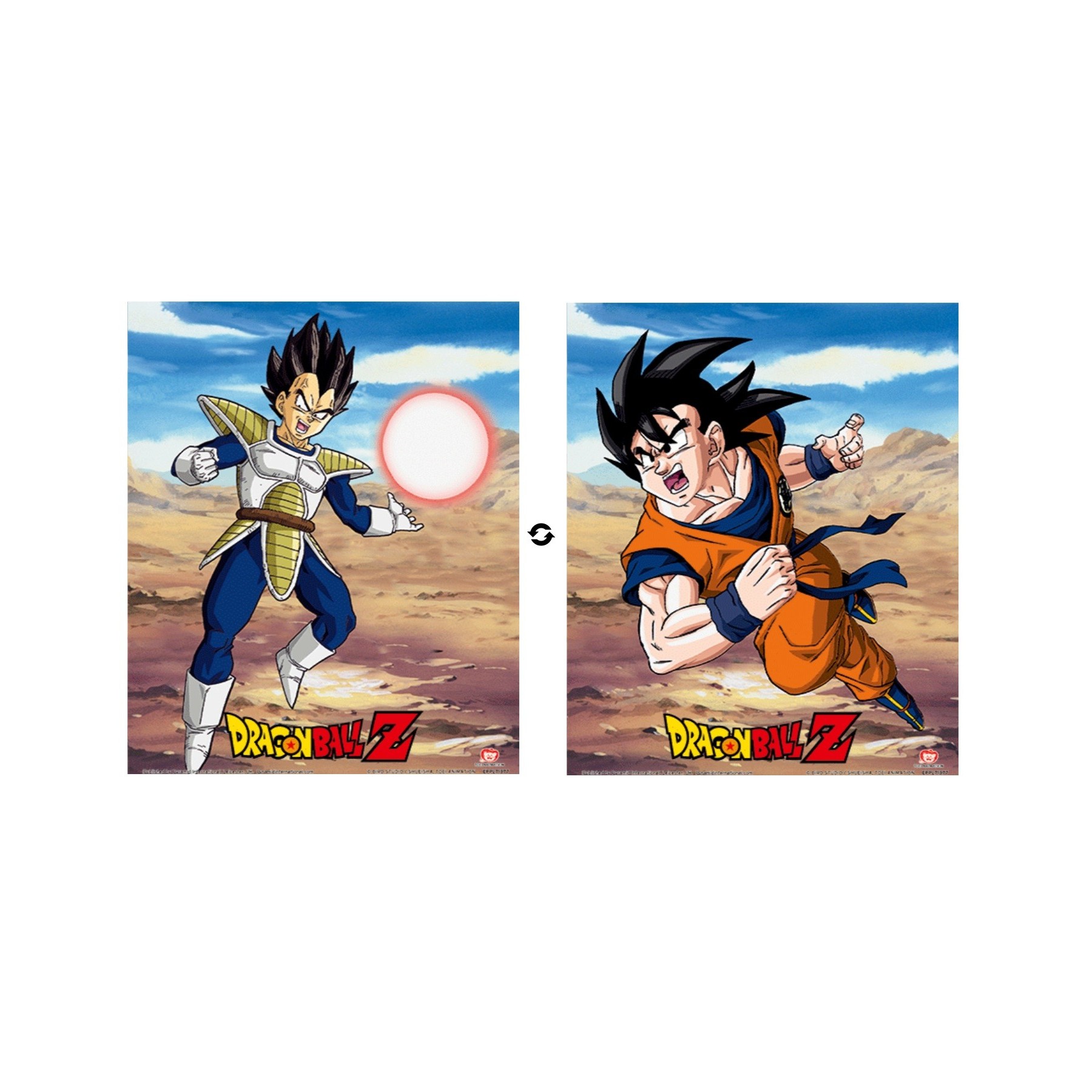 Cuadro 3D Rivalry Of Power Dragon Ball Z