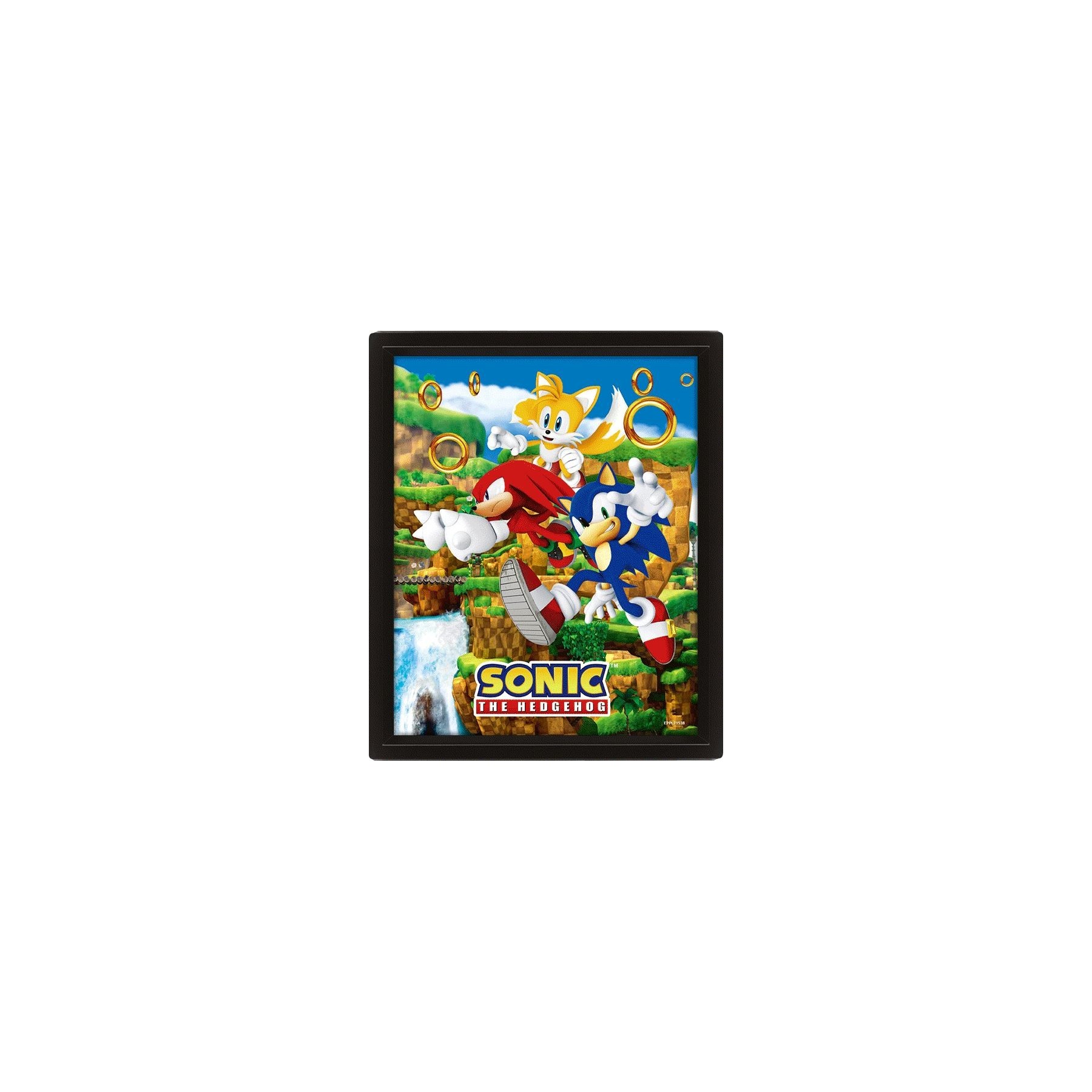 Poster 3D Sonic The Heggehod Anillos De Enganche