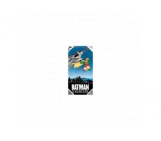 Poster Cristal Batman Y Robin Dc Comics