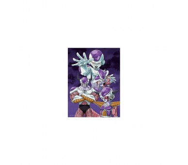 Poster Cristal Frieza Transformaciones Dragon Ball Z