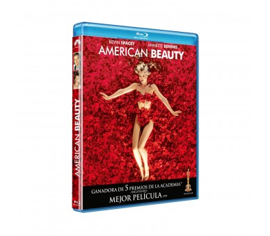 American Beauty  Br