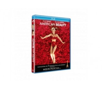 American Beauty  Br