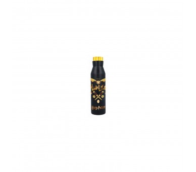 Botella Acero Inoxidable Harry Potter Diabolo 580Ml