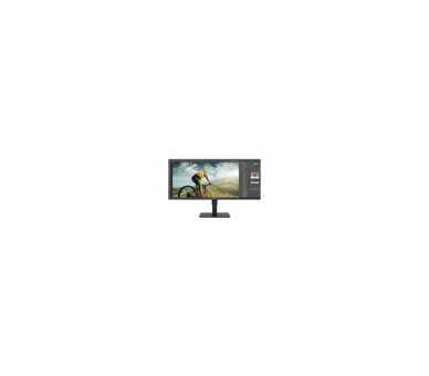 Monitor Profesional Ultrapanorámico Lg 34Bn670P-B 34"/ Wfhd/