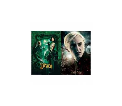 Puzzle-Rasca Draco Malfoy 150 Piezas