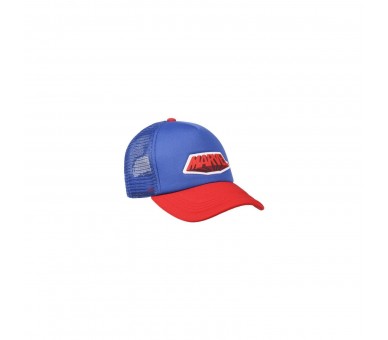 Gorra Premium Marvel Logo