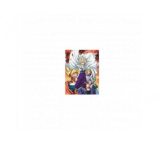 Poster De Vidrio Dragon Ball Z Heroes Vs Cell