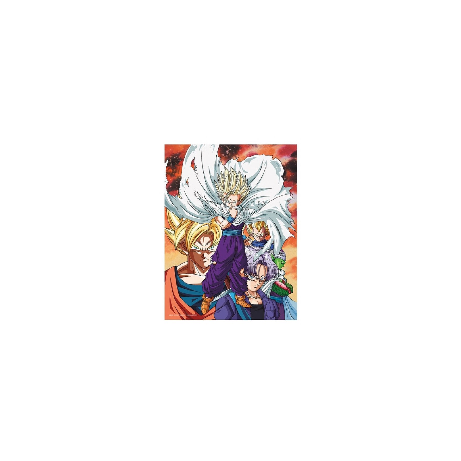 Poster De Vidrio Dragon Ball Z Heroes Vs Cell