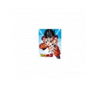 Poster De Vidrio Dragon Ball Z Goku Kame