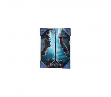 Poster De Vidrio Harry Potter Y Voldemort