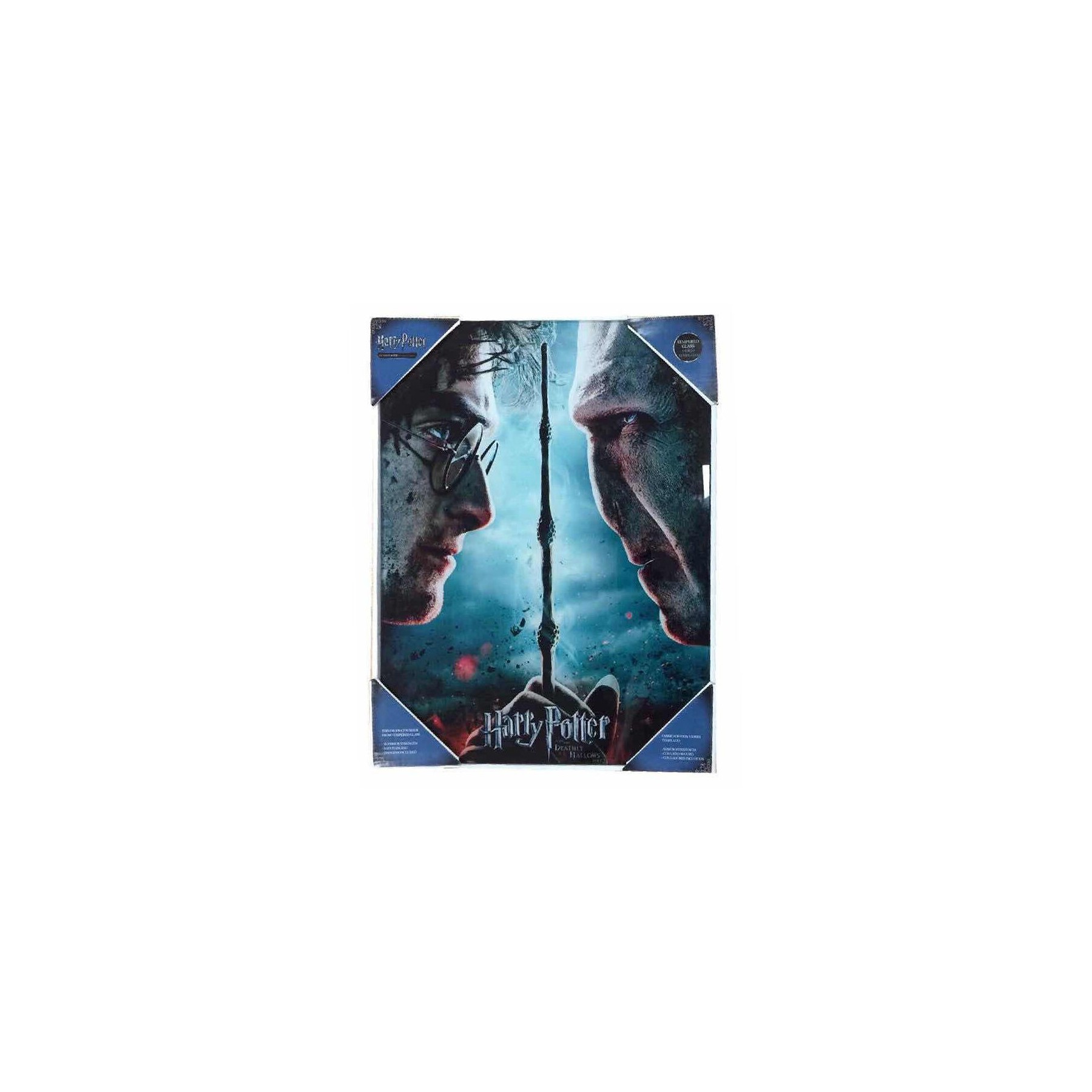 Poster De Vidrio Harry Potter Y Voldemort