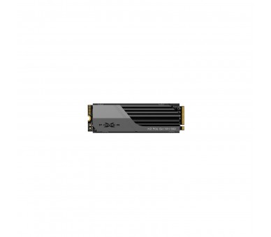 Sp Xs70 Ssd 1Tb Nvme Pcie Gen 4X4 W/Hs