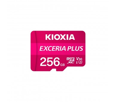 Tarjeta Memoria Micro Secure Digital Sd Kioxia 256Gb Exceria