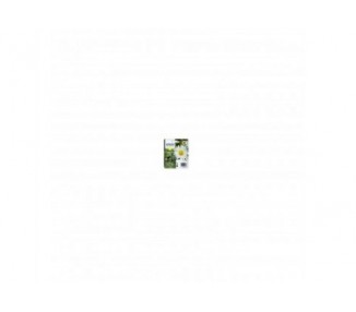 Cartucho Tinta Epson T180440 Amarillo Xp - 102 - 205 - 305 -