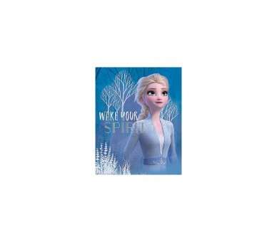 Mini Poster (Wake Your Spirit Elsa) Frozen 2