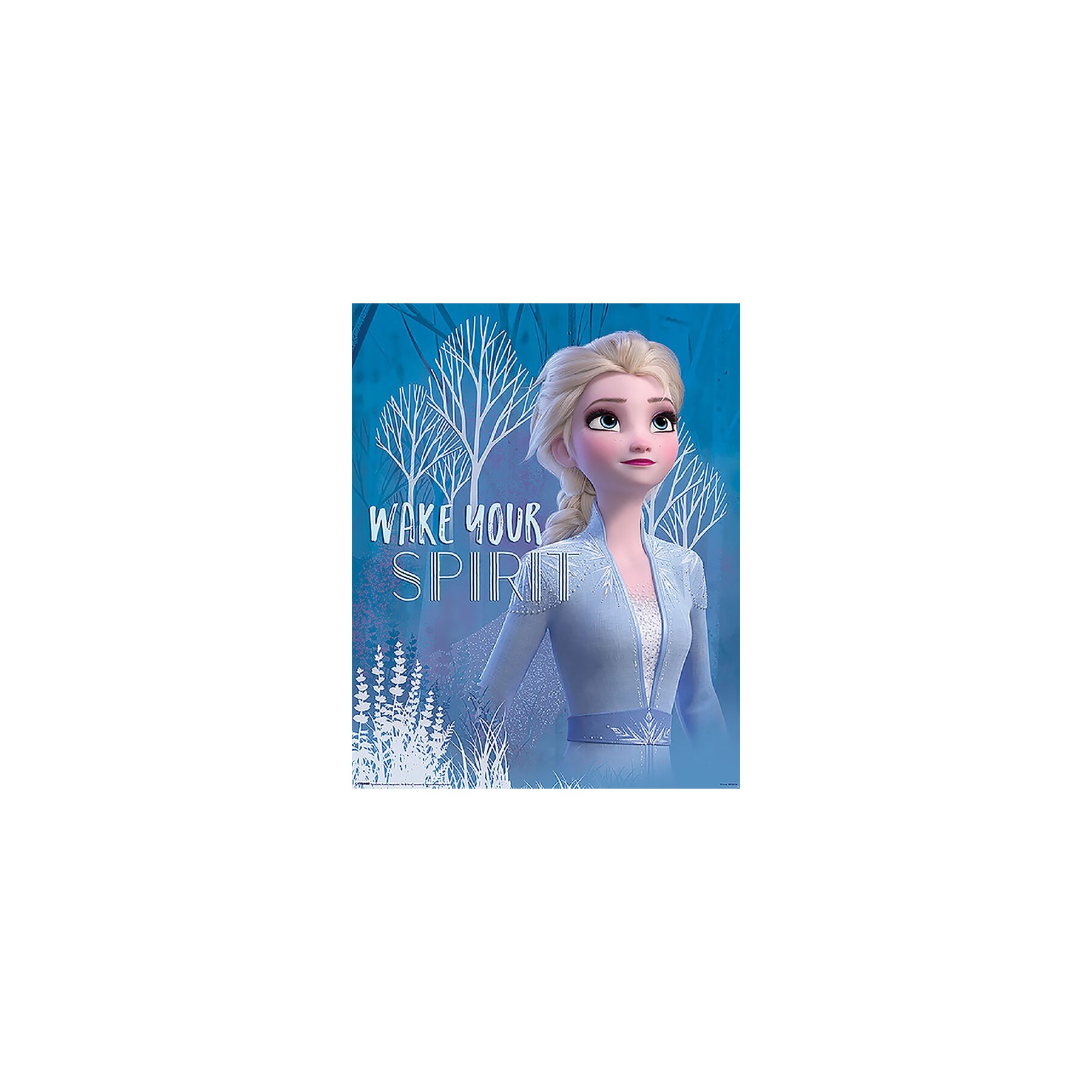 Mini Poster (Wake Your Spirit Elsa) Frozen 2