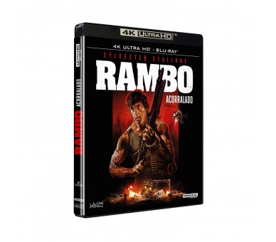 Rambo - Acorralado (4K Uhd) - Bd Br