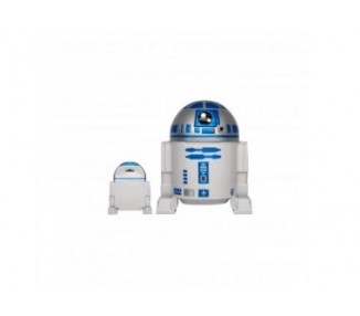 Figura R2  - D2 Hucha Monogram