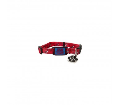 Collar Para Perros. Talla L Spiderman