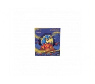 Pin Winnie The Pooh 15Th Anniversary Tiana Y El Sapo Disney