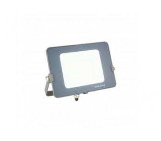 Foco Proyector Led Silver Electronics Forge Ips 65 50W -  57