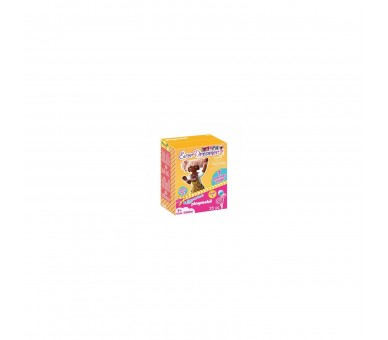 Playmobil Everdreamerz Edwina Candy World