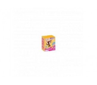 Playmobil Everdreamerz Edwina Candy World