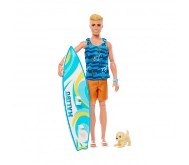 Muñeco Barbie Mattel Ken Tabla De Surf