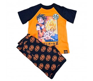 Conjunto Dragon Ball